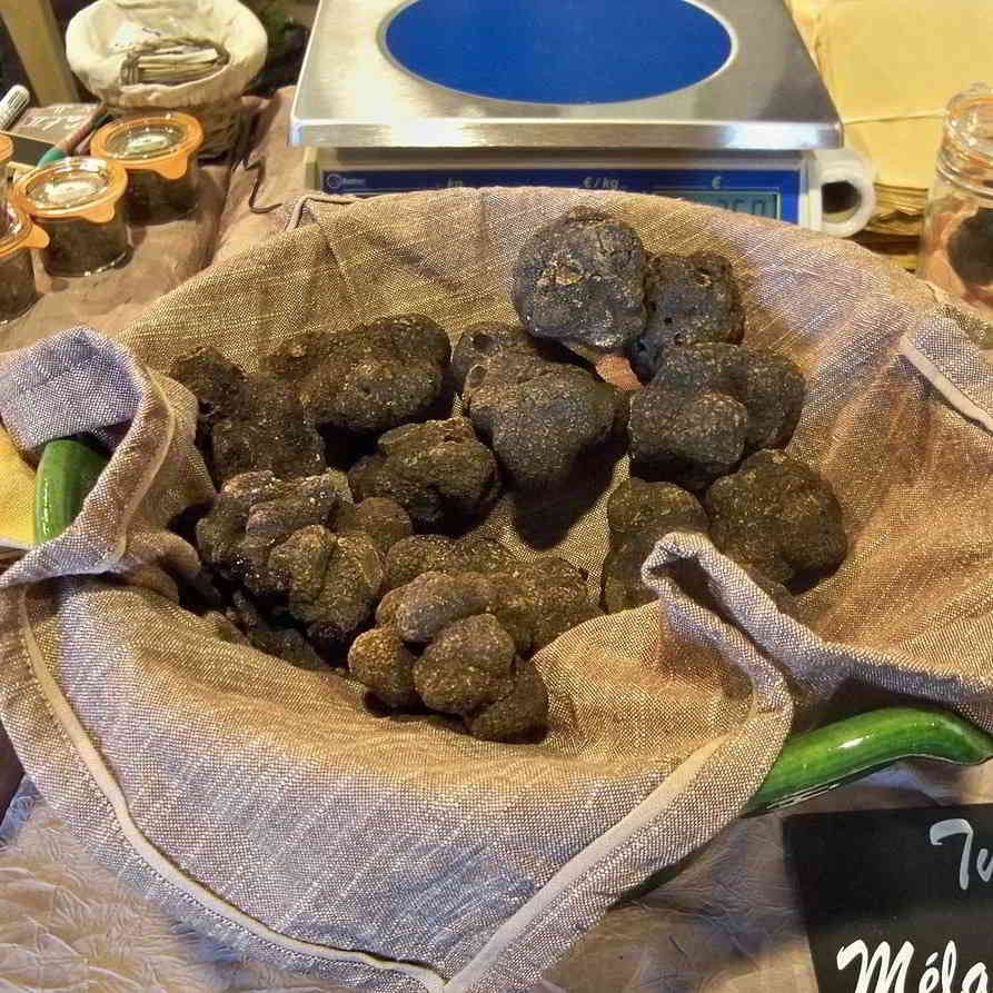 Truffle season