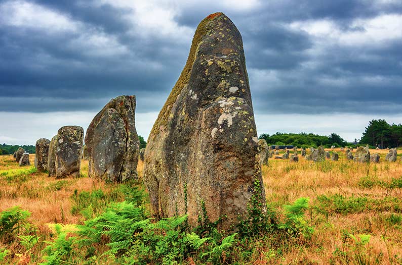 Alignment of menhirs at Carnac in Brittany Copyright Janine Marsh, February 2021, for Exclusive France Tours