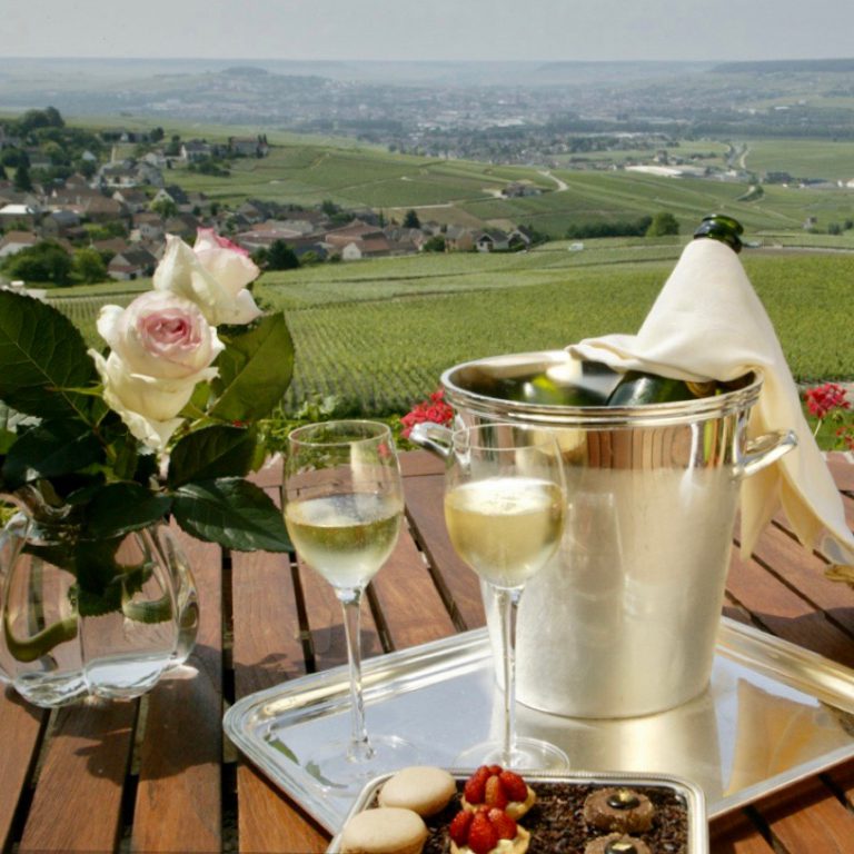 Honeymoon in Champagne vineyards