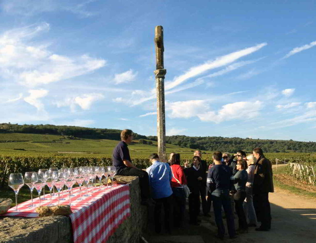 A tasting in the middle of the vines