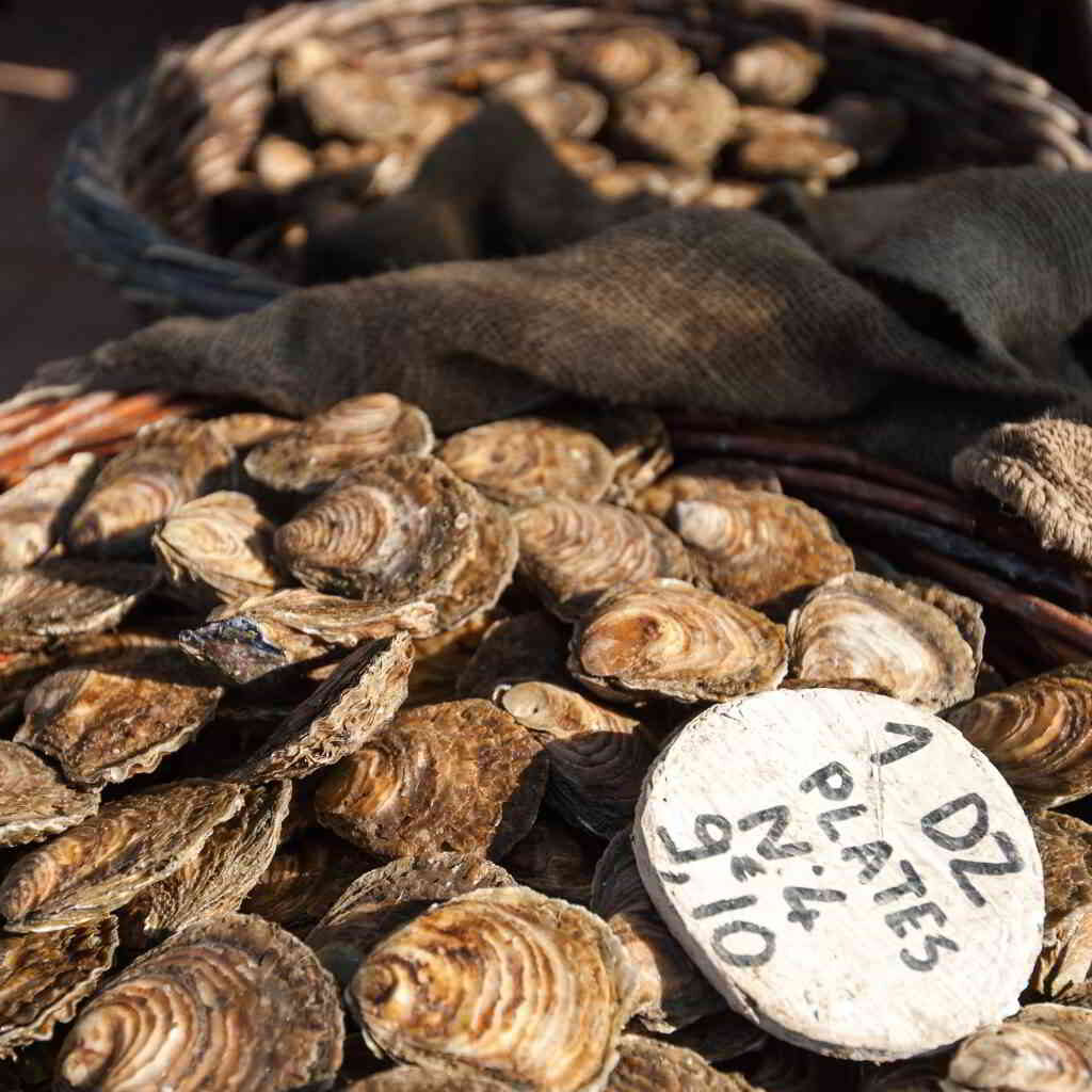 Famous Normandy oysters © Bertier Emmanuel