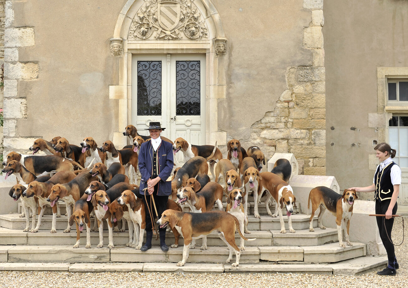 MEURSAULT_CHIENS GDEVADROUILLE041 Photo Alain Doire_Bourgogne Tourisme