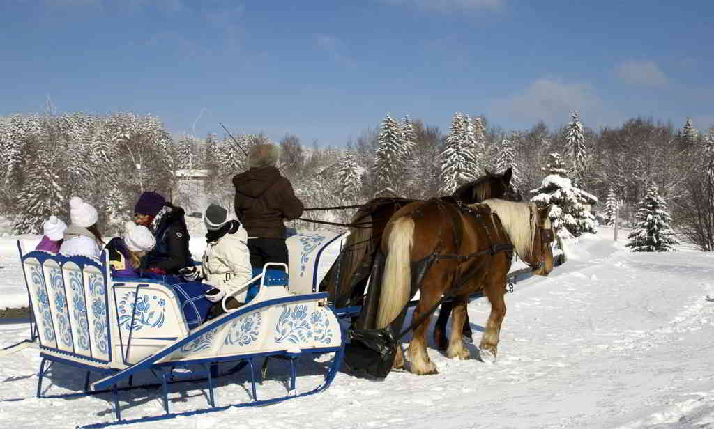 alps la feclaz horse carriage