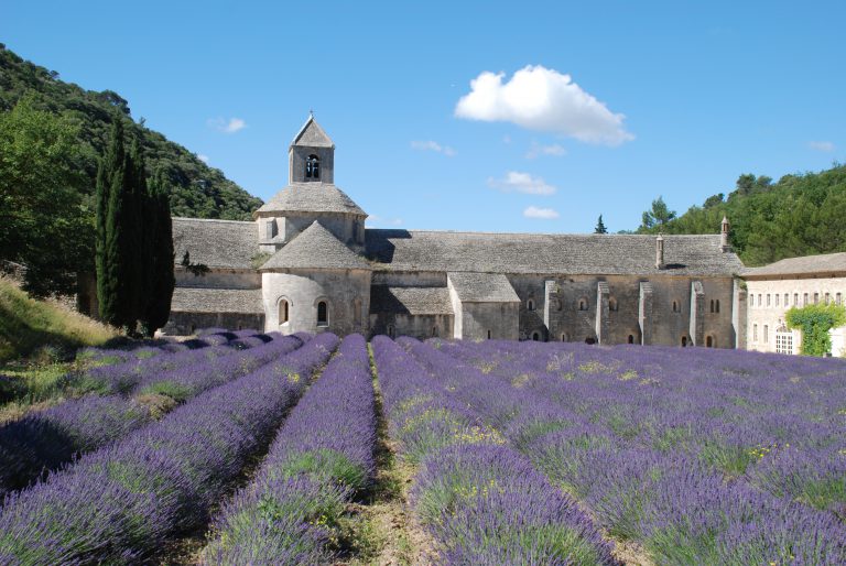 Sénanque Abbaye