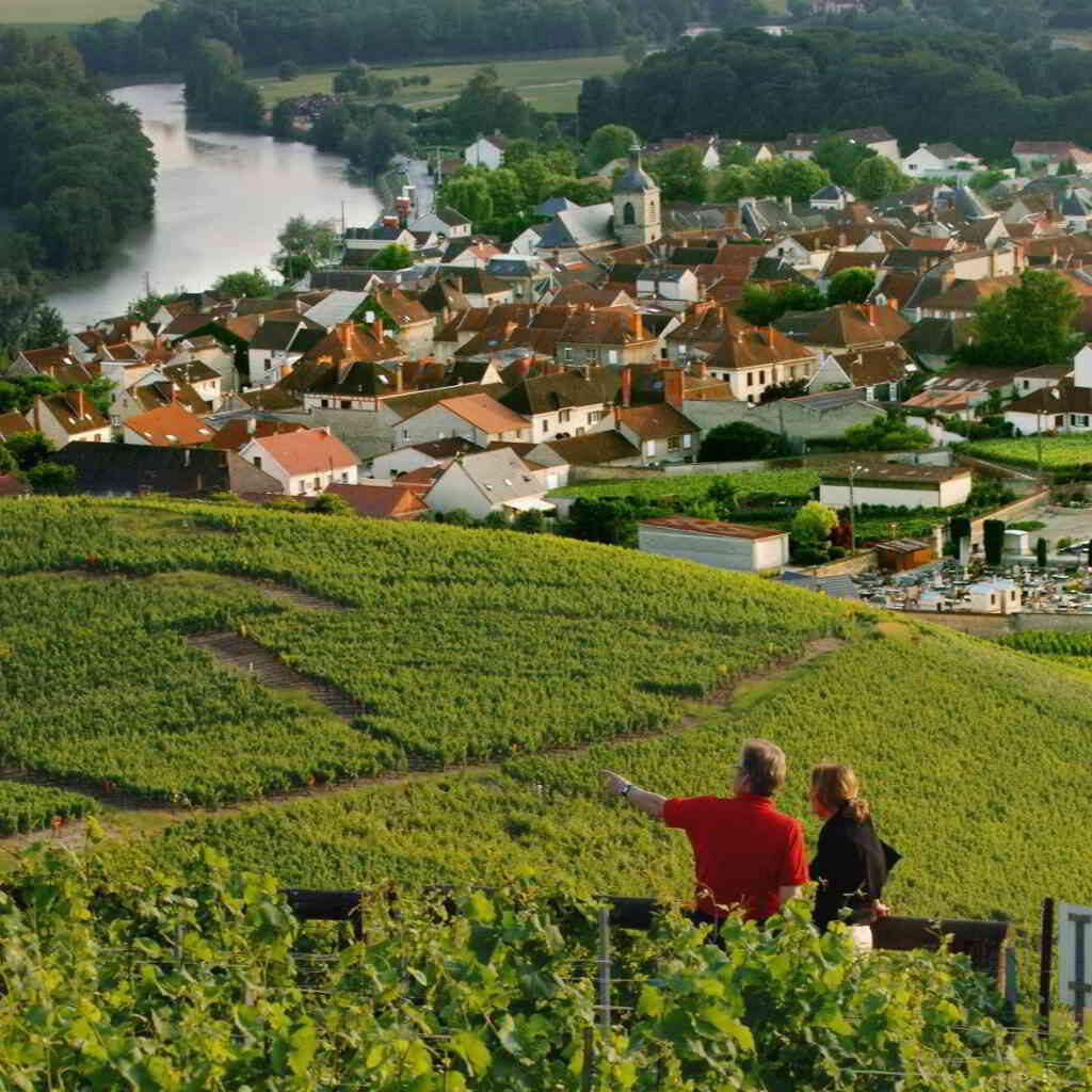 A romantic escapade in the vineyards