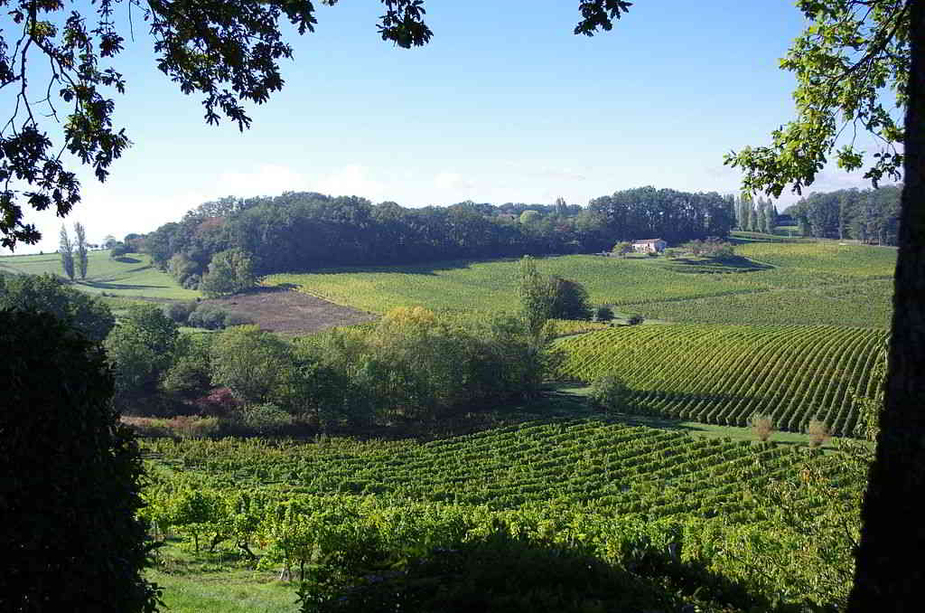 Saussignac vinery france