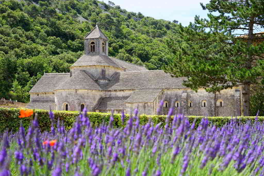 Sénanque Abbaye