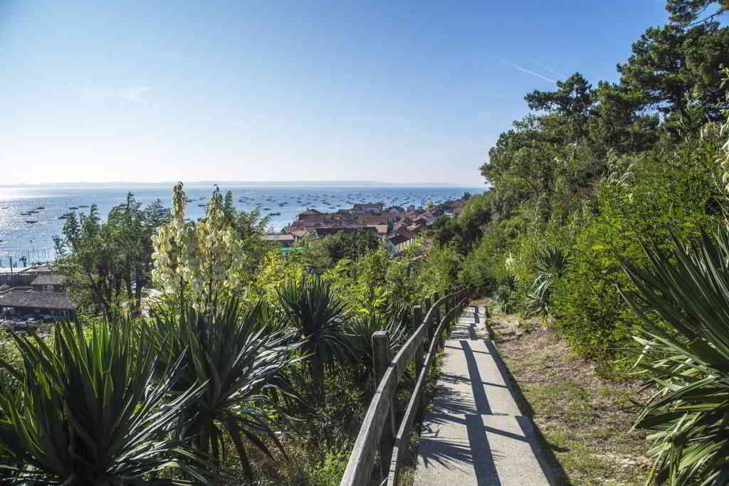 Arcachon characteristic landscape