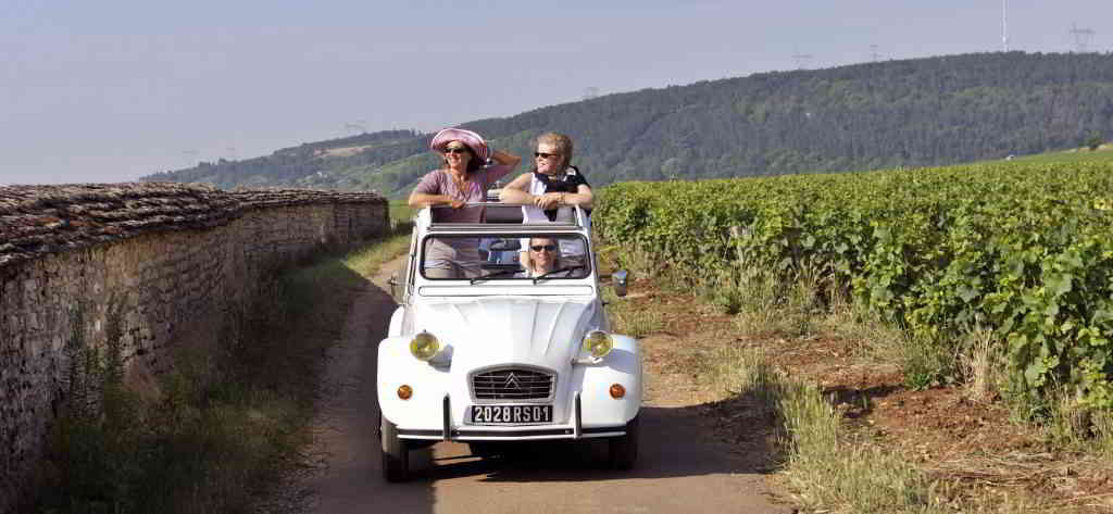 France luxury tours - wine tour in 2cv vintage cars in Burgundy vineyards