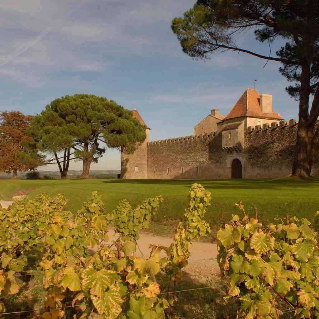 Château Yquem