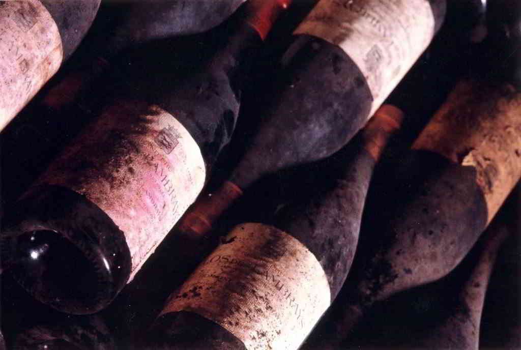 Vintage wines