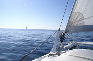 A catamaran sailing in Brittany