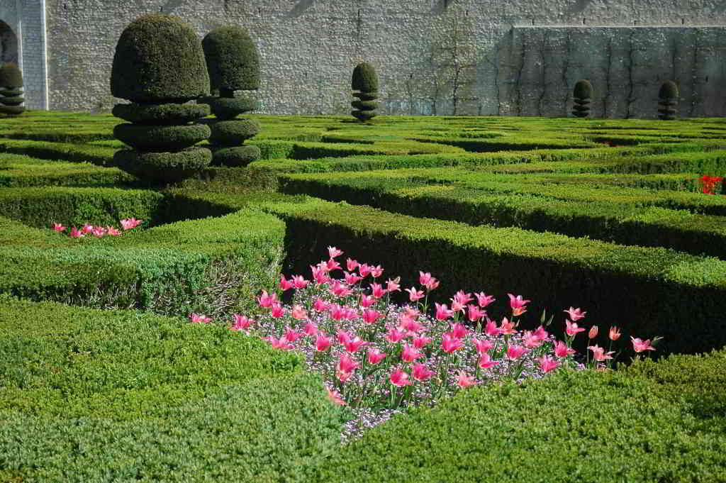 Loire Valley Garden