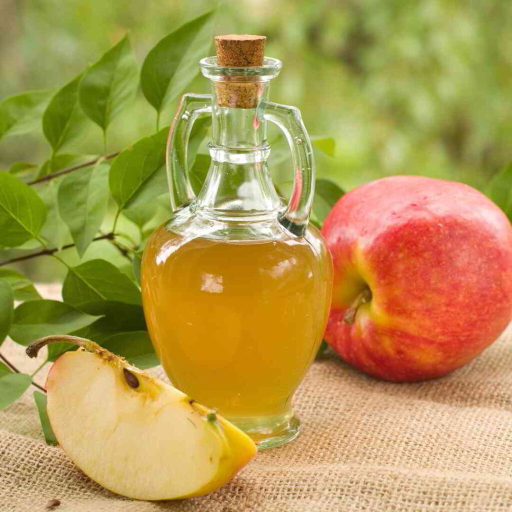 Cider in Normandy