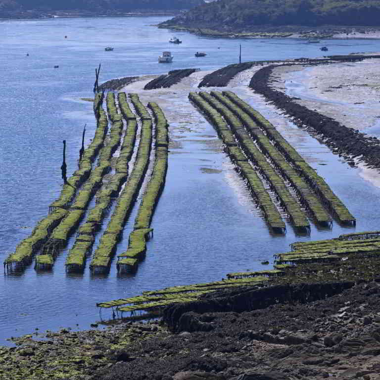 Oyster farms in Brittany @crtb