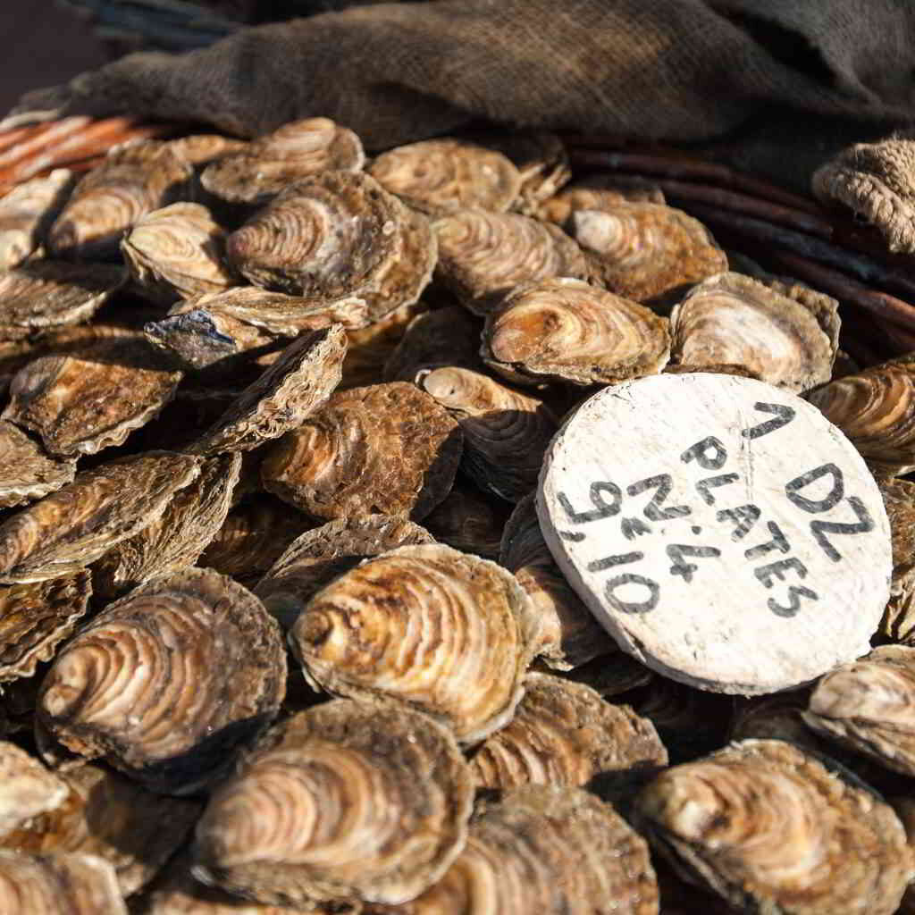 Famous Normandy oysters © Bertier Emmanuel