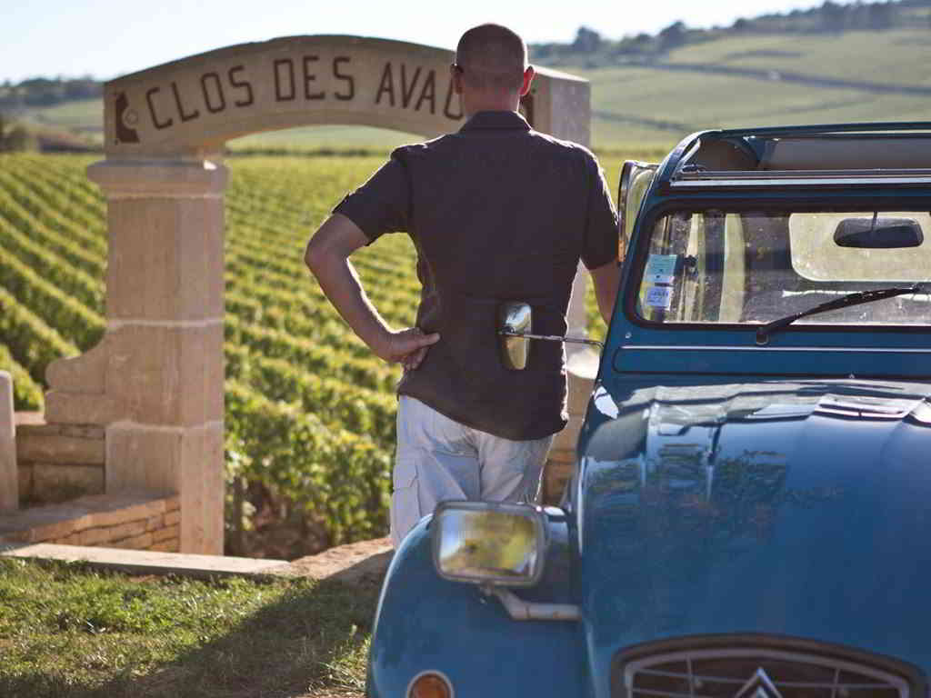 A vintage 2CV stroll in the vines