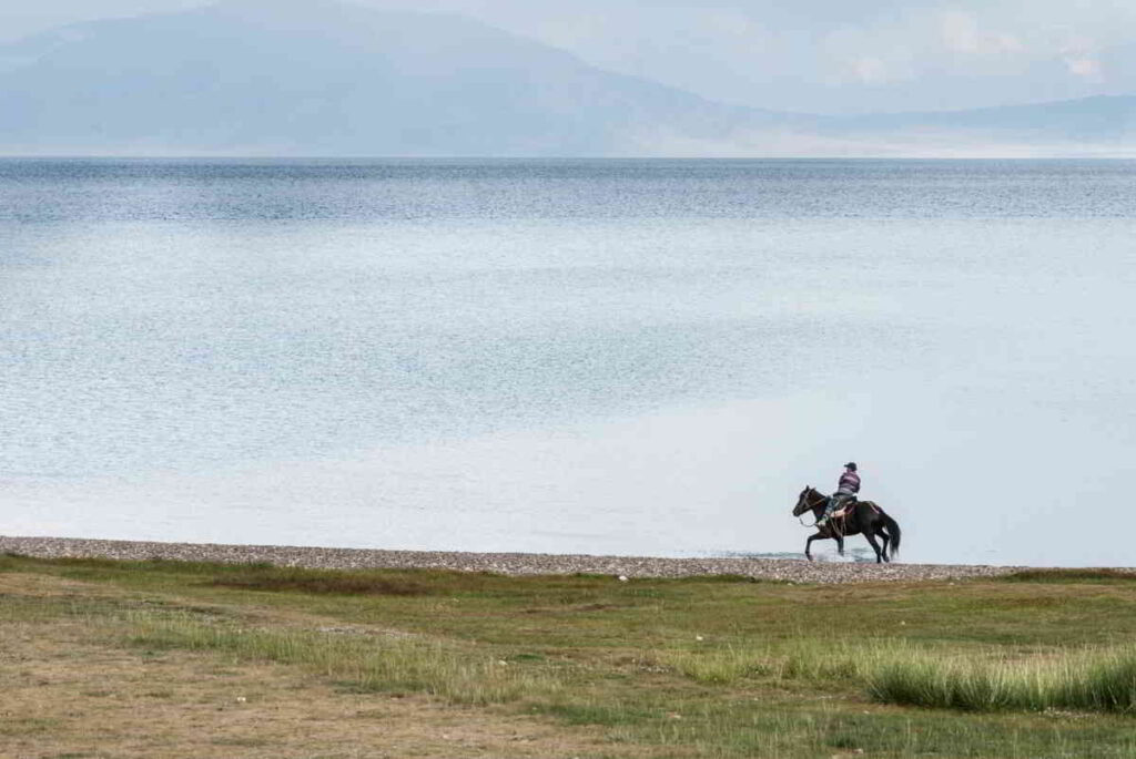 Horse Riding in the Nature