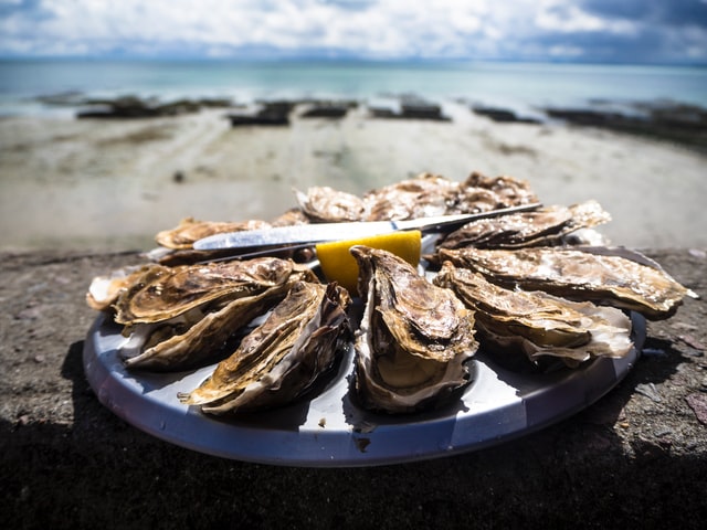 Plate of oyster on a seaside table