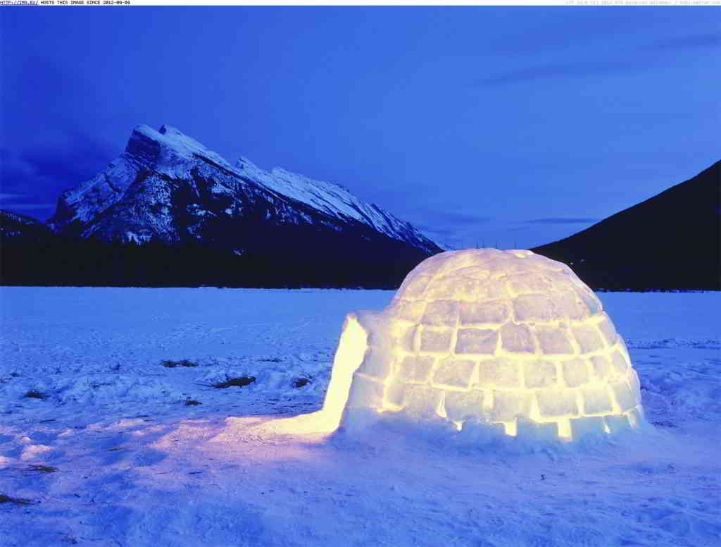 Proposal in an igloo