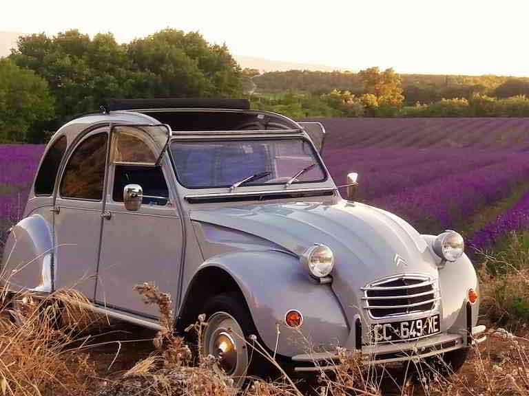 Flagrant Fields in Provence 2cv car vintage