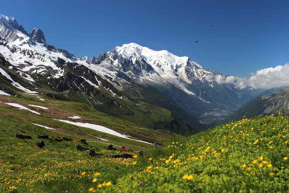 A Hiking Trail Near Le Mont Blanc