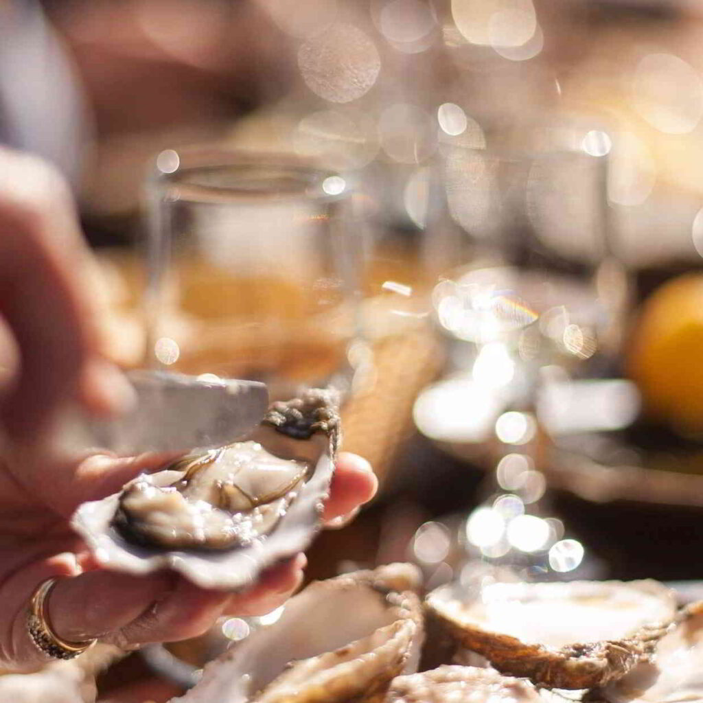 Tasting of oysters