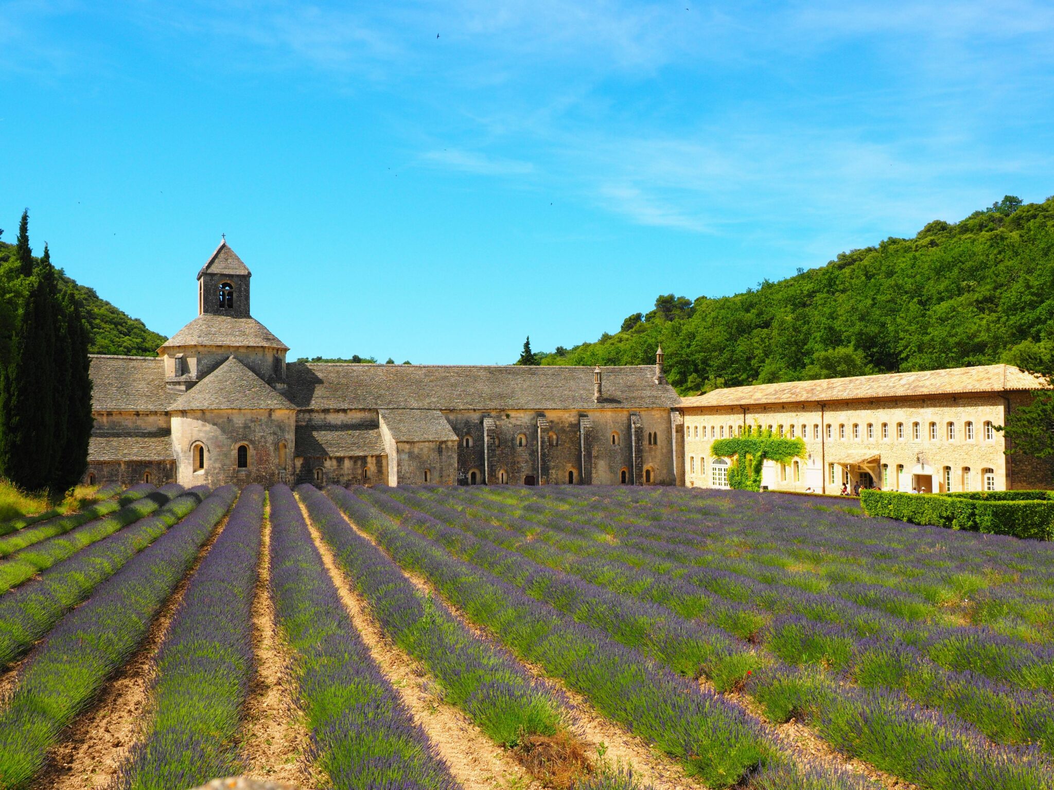 Provence Executive Retreat, Networking , Corporate events Exclusive France Tours