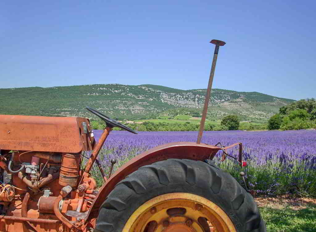 Lavender Distillerie and Museums