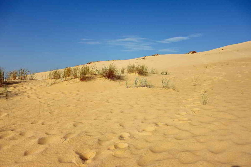 The Beautiful Dune du Pilat