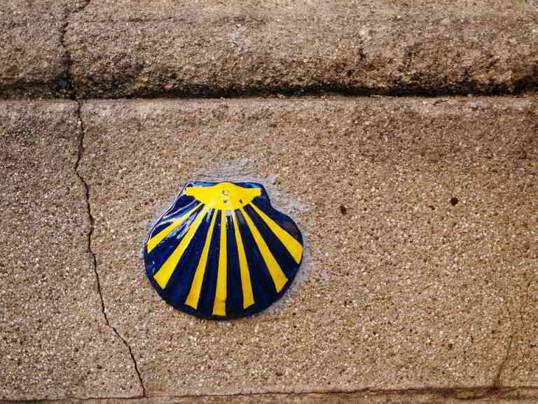 A Shell - Symbol of St Jacques de Compostelle