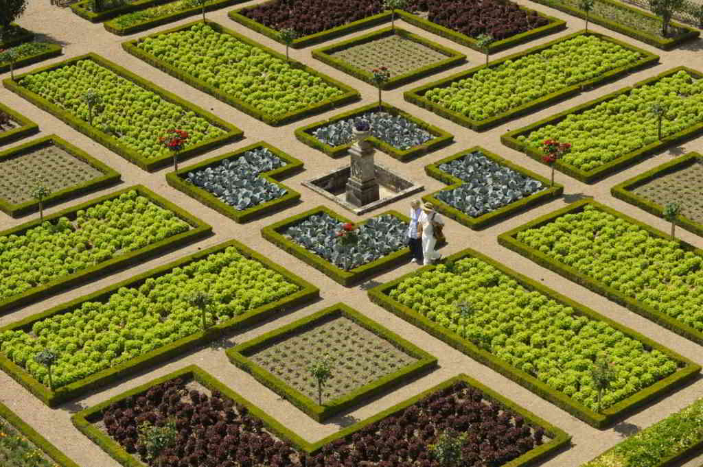 Romantic stroll in Villandry's gardens - villandry JDamase