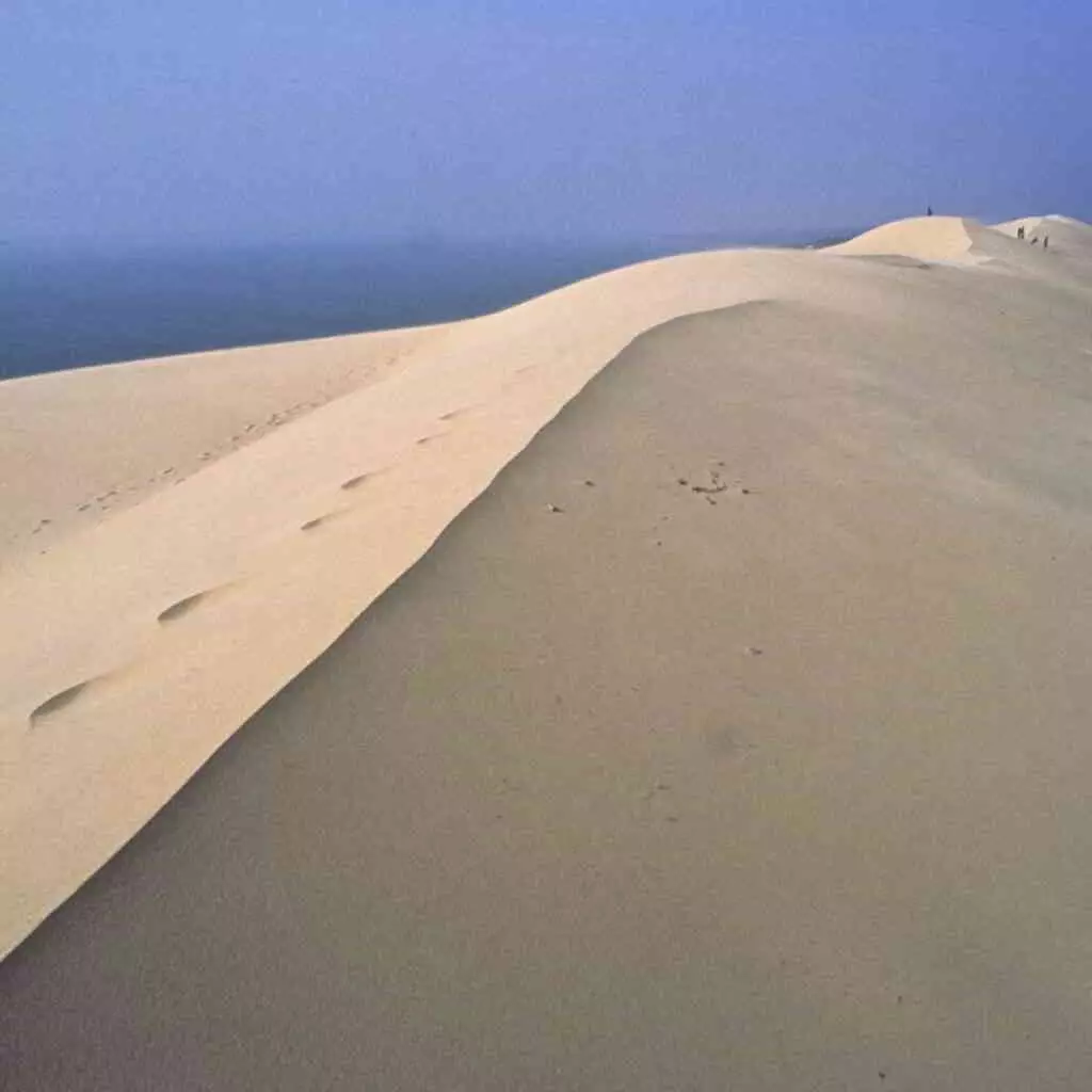 Sandy Dune du Pyla